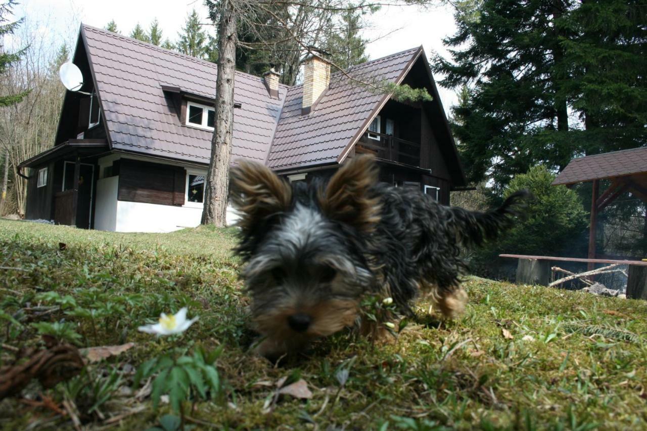 Chata Rusalka Nemecka Exterior foto